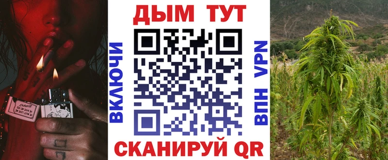 Где купить Славгород Гашиш Конопля Меф