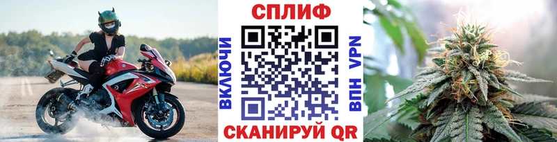 Бошки Шишки сатива  Славгород 